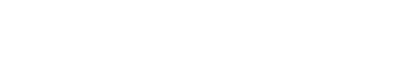 The%20Experience